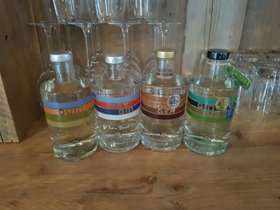 Gin tasting